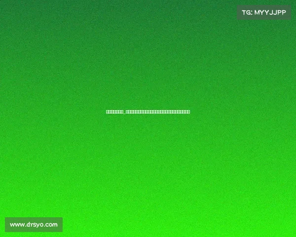 新加坡体育赛事_新加坡体育赛事嘉年华激情开幕全民参与共享健康运动乐趣